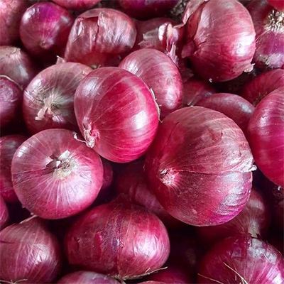 Onion