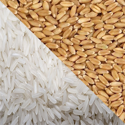 Grains